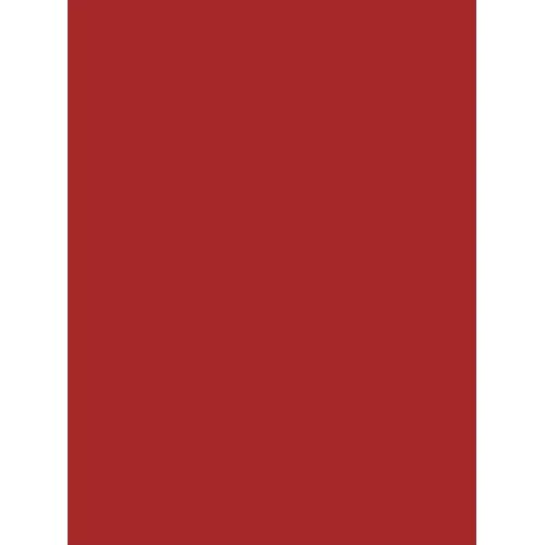 Continuo Playing on the Lute, Archlute and Theorbo: A Comprehensive Guide for Performers
