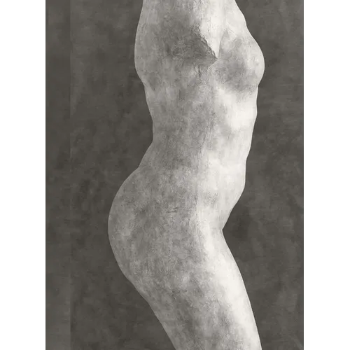 Rodin: Photographs by Emmanuel Berry