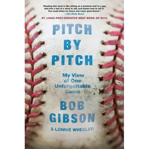 Pitch by Pitch: My View of One Unforgettable Game