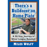 There's a Bulldozer on Home Plate: A 50-Year Journey in Minor League Baseball - Paperback