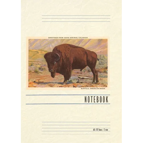 Vintage Lined Notebook Greetings from Idaho Springs