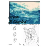 Drawn & Courted - Paperback