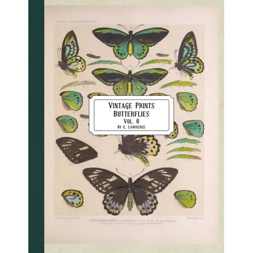 Vintage Prints: Butterflies: Vol. 3