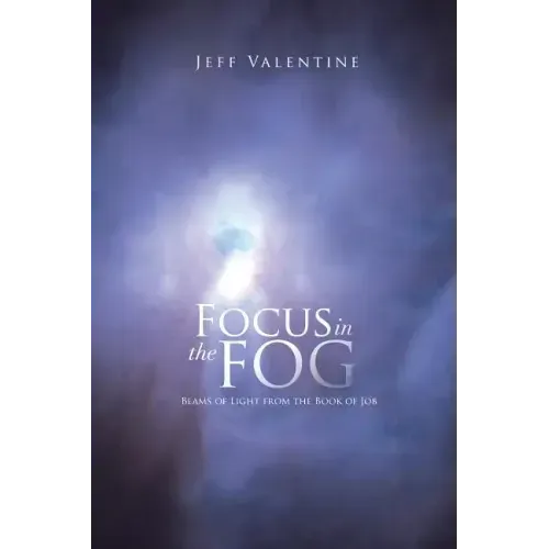 Focus in the Fog: Beams of Light from the Book of Job