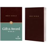 Gift and Award Bible-Nlt - Imitation Leather