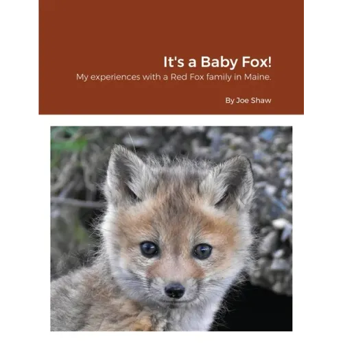 It's a Baby Fox!