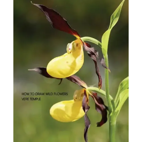 How to Draw Wild Flowers (Replica Edition)