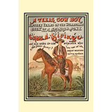 A Texas Cow Boy: Or Fifteen Years on the Hurricane Deck of a Spanish Pony