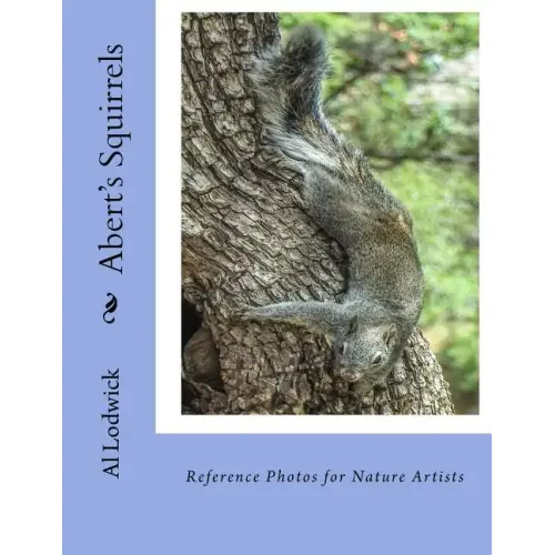 Abert's Squirrels: Reference Photos for Nature Artists