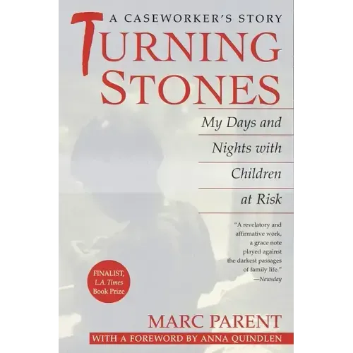 Turning Stones: My Days and Nights with Children at Risk a Caseworker's Story