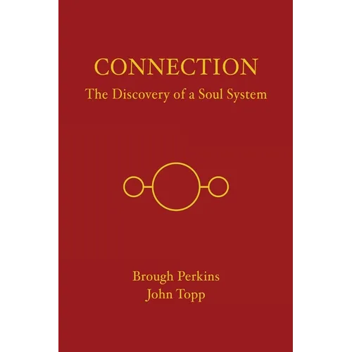 Connection: The Discovery of a Soul System