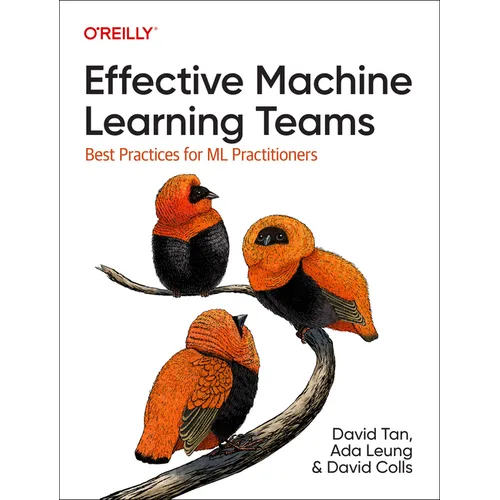Effective Machine Learning Teams: Best Practices for ML Practitioners