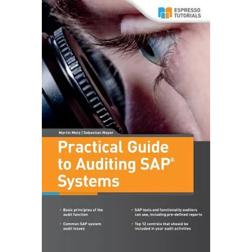 Practical Guide to Auditing SAP Systems