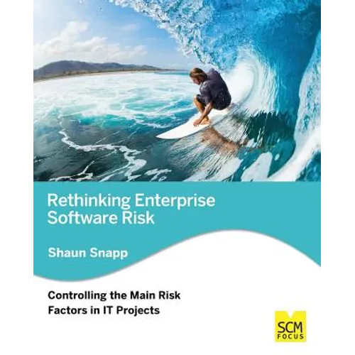 Rethinking Enterprise Software Risk: Controlling the Main Risk Factors on It Projects