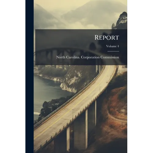 Report; Volume 4