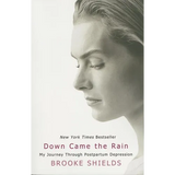 Down Came the Rain: My Journey Through Postpartum Depression