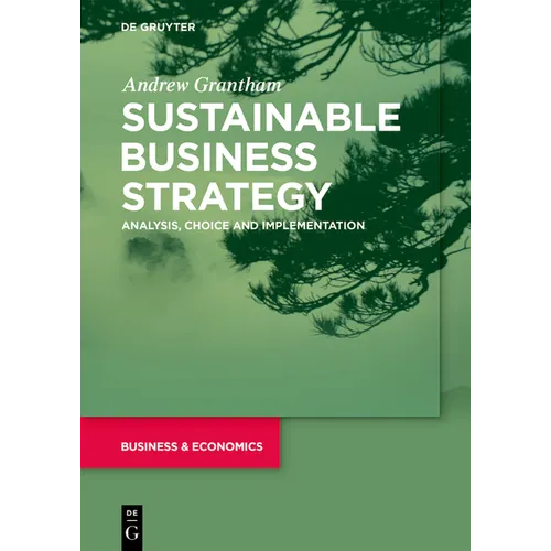 Sustainable Business Strategy: Analysis, Choice and Implementation