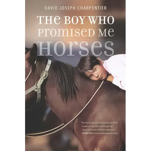The Boy Who Promised Me Horses