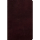 Large Print Personal Size Bible-ESV