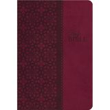 Study Bible-KJV