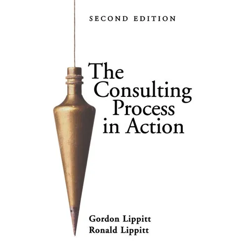 The Consulting Process in Action