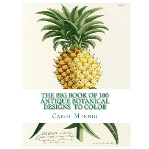 The Big Book of 100 Botanical Designs to Color