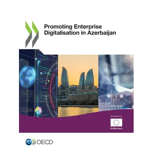Promoting Enterprise Digitalisation in Azerbaijan