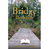 A Bridge Between