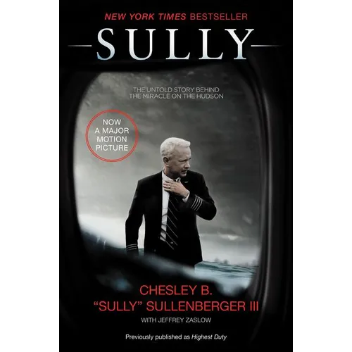 Sully: My Search for What Really Matters