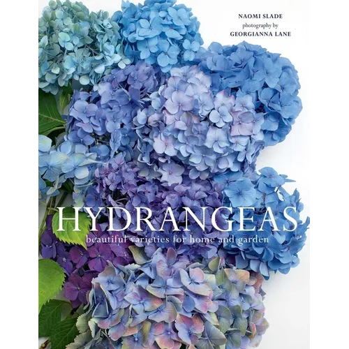 Hydrangeas: Beautiful Varieties for Home and Garden